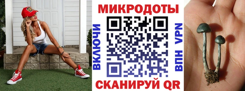 Псилоцибиновые грибы Psilocybine cubensis  закладки  Сегежа 